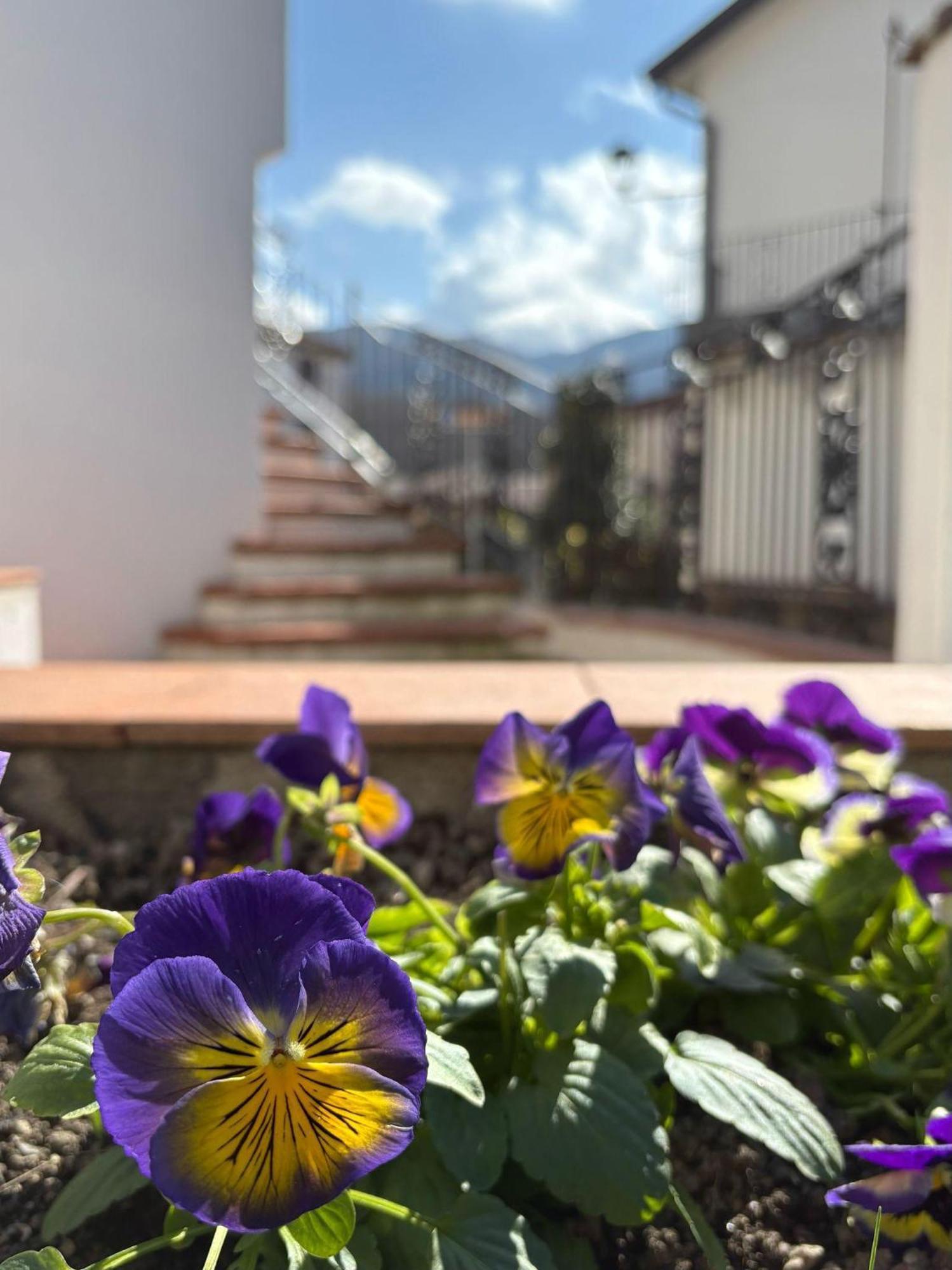 Albori Apartment ซาน เซเวริโน ลูกาโน ภายนอก รูปภาพ